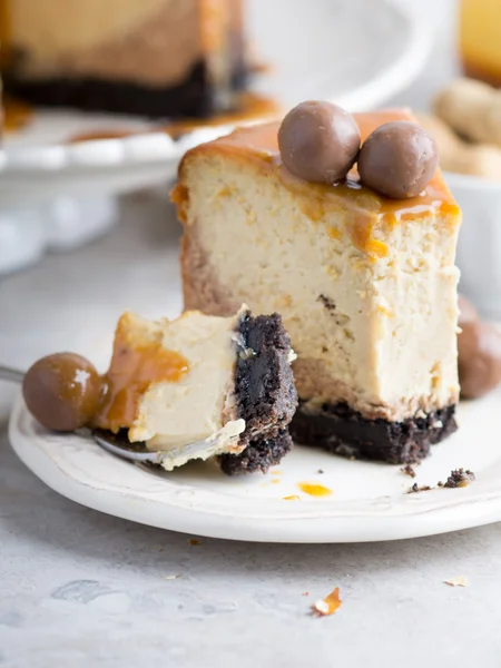 Erdnussbutter Schokolade Käsekuchen — Stockfoto