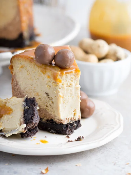 Erdnussbutter Schokolade Käsekuchen — Stockfoto