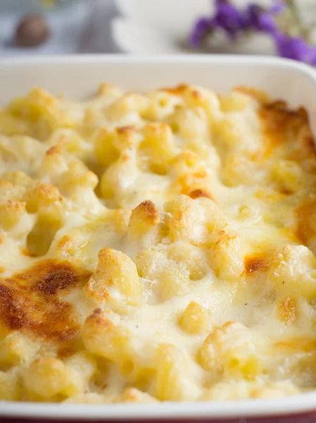 Mac and cheese casserole — Stock Photo, Image