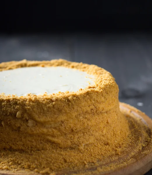 Gâteau au miel russe traditionnel — Photo