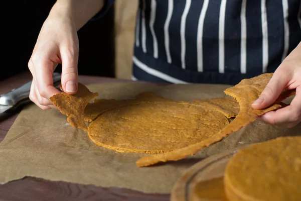 Bolo de mel na tomada — Fotografia de Stock