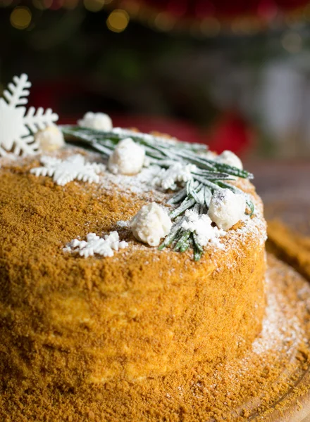 전통적인 러시아 꿀 케이크 — 스톡 사진