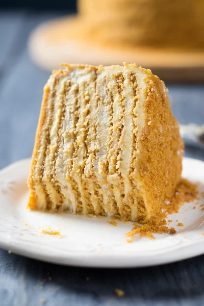 Traditioneller russischer Honigkuchen — Stockfoto