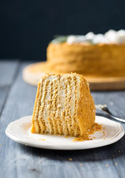 Gâteau au miel russe traditionnel — Photo