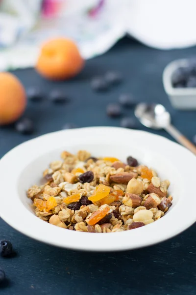 Granola caseira com mirtilos e damascos secos — Fotografia de Stock