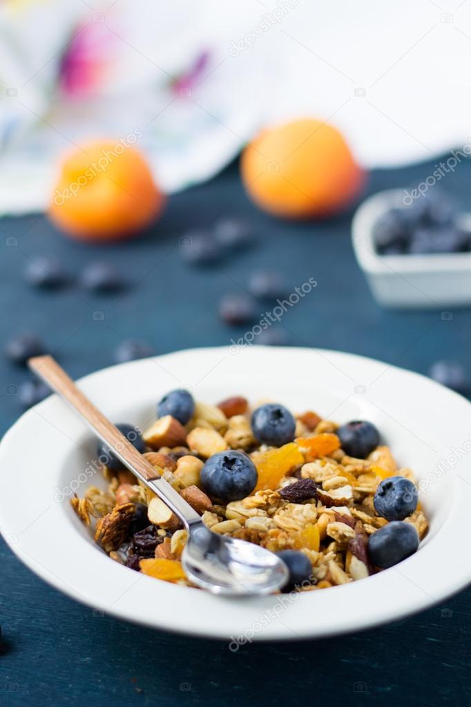homemade granola with blueberries and dried apricots