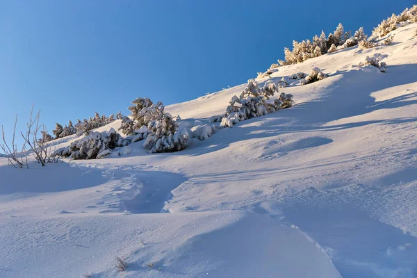 Χιονισμένο Επαρχιακό Δρόμο Στα Βουνά Χειμώνας Στα Καρπάθια Όρη Χιόνι — Φωτογραφία Αρχείου