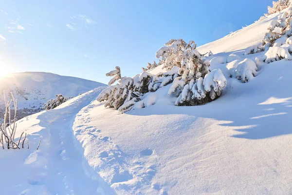 Śnieżna Wiejska Droga Górach Zima Karpatach Śnieg Słońce — Zdjęcie stockowe