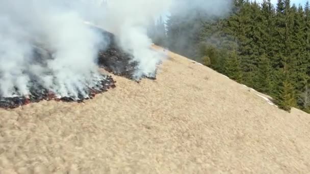 Foresta Campo Fiamme Montagna Vista Aerea Erba Secca Brucia All — Video Stock