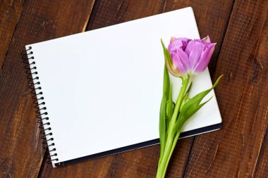 Ahşap arka planda not defteri olan pembe lale. Selamlama, davetiye ve kartpostallar için arkaplan.