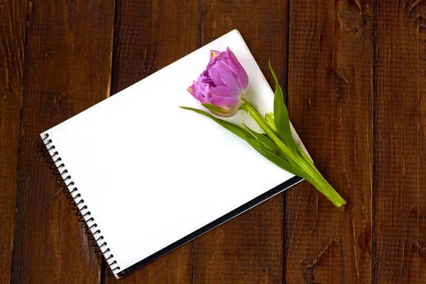 Tulipa Rosa Com Caderno Sobre Fundo Madeira Antecedentes Para Saudações — Fotografia de Stock