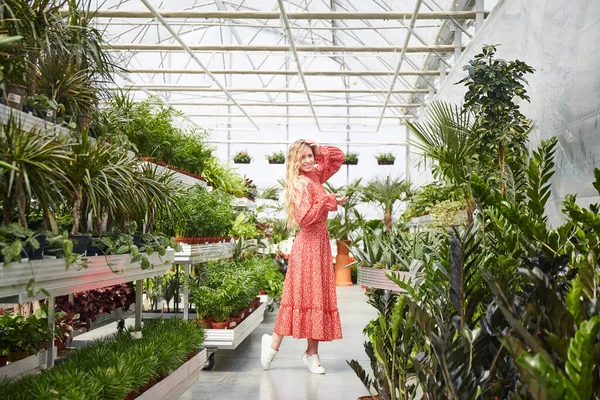 Seradaki genç sarışın bir kadın. Saksıda çiçekler olan sanayi serası.