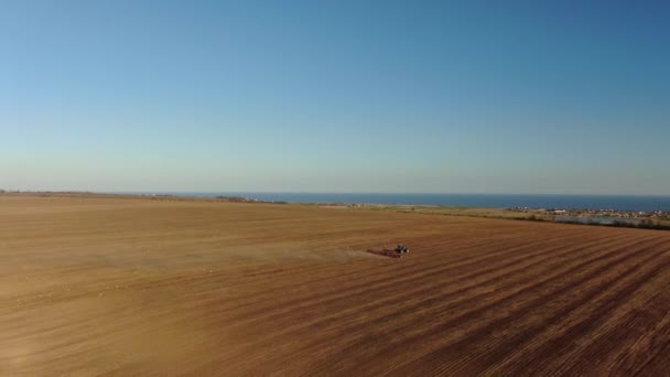 Vista Aerea Macchine Mietitrebbia Che Lavorano Campo Vista Dall Alto — Video Stock