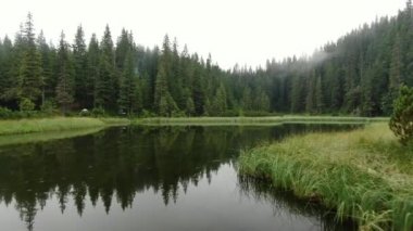 Drone dağ ormanları arasında gölün yüzeyine son derece yakın uçuyor. Ufuktaki çam ağaçları ormanı suya yansıyor. Marichejika Gölü 'nün Karpat Dağları' ndaki havadan görünüşü