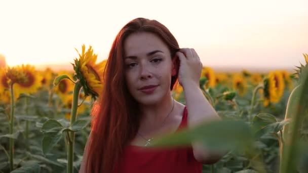 Lächelnde Rote Haare Frau Rotem Kleid Sonnenblumenfeld Sonnenblumenfeld Bei Sonnenuntergang — Stockvideo