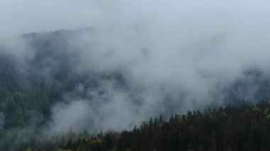 İHA bahar dağlarında sabah sisinin içinden uçuyor. Sis, bulut ve sisli hava manzarası yağmur sonrası bir orman üzerinde asılı duruyor.