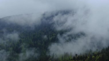 İHA bahar dağlarında sabah sisinin içinden uçuyor. Sis, bulut ve sisli hava manzarası yağmur sonrası bir orman üzerinde asılı duruyor.