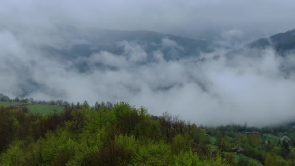 ドローン春の山の中で朝の霧を飛んでいます 霧の空中ビューは 森の上に雨の後にぶら下がっている — ストック動画