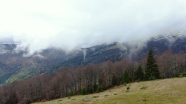 İHA bahar dağlarında sabah sisinin içinden uçuyor. Sis, bulut ve sisli hava manzarası yağmur sonrası bir orman üzerinde asılı duruyor.