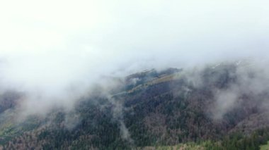 İHA bahar dağlarında sabah sisinin içinden uçuyor. Sis, bulut ve sisli hava manzarası yağmur sonrası bir orman üzerinde asılı duruyor.