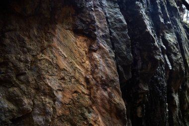 Doğal mağaradaki gerçek taş dokusu. Koyu kaya desenli arkaplan