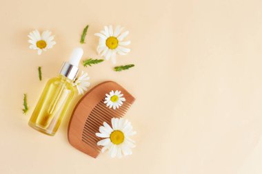Saç için organik vegan doğal kozmetik ürünleri. Papatya çiçekleri ve kozmetik şişelerinden oluşan yassı bir kompozisyon. Doğal güzellik. Üst Manzara. Metin için boşluk
