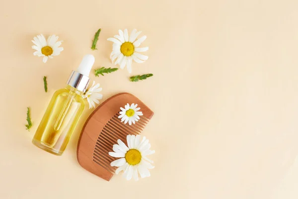 Organic vegan natural cosmetics for hair. Flat Lay composition of Chamomile flowers and cosmetic bottles with essential oil. Natural beauty. top view. Space for text