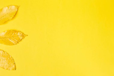 Sarı arkaplanda gerçekçi yapraklar bulunan düz bir kompozisyon. Merhaba Ekim konsepti. Sonbahar arkaplanı