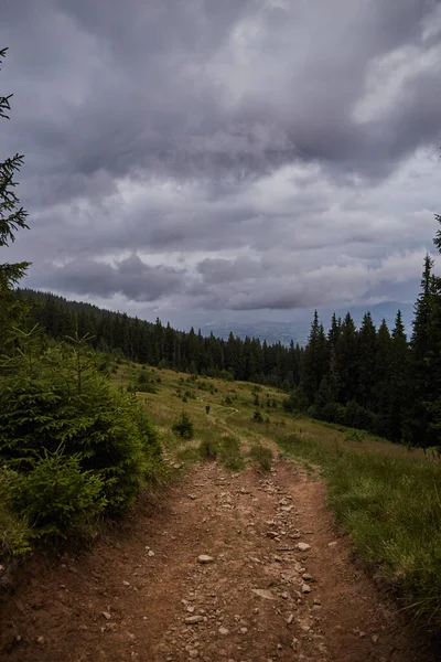 Bergpass Auf Der Wiese Vor Dem Sturm Waldlandschaft Den Karpaten — Stockfoto