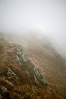 Sisli bir günde engebeli arazide dönen sisli dağ patikaları. Karpat Dağları, Ukrayna 'da sonbahar yürüyüşü