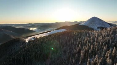 Kış manzarasında karlı dağların ve yemyeşil ormanların üzerinde görkemli bir gün doğumu. Kış boyunca Gorgany poligonu. Karpat Dağları, Ukrayna