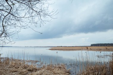Sakin sular, sakin bir sulak arazideki gri bulutları ilkbahar öğleden sonrası boyunca yansıtır. Krakovetler, Ukrayna