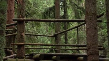 Gözlerden uzak ağaç ev, gür bir orman ortamında, yüksek ağaçlarla çevrili. Karpat Dağları, Ukrayna 'da yaz yürüyüşü