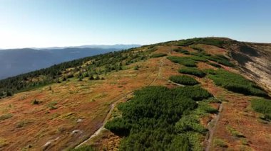 Sonbaharda, açık gökyüzü altındaki patikalar ve ağaçlarla dolu bir dağ sırtı manzarası kırsal kesimde gündüz gözüyle görülüyor. Bratkivskyi menzili. Gorgany. Karpat Dağları 'nda yaz yürüyüşü. Ukrayna