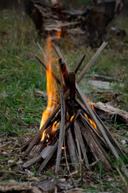 Yangın Ağaç Parkı