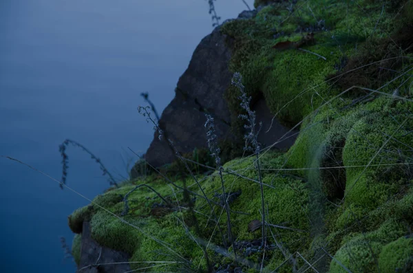 Beklimmen van de berg en gras — Stockfoto