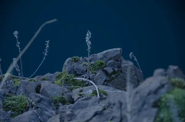 Escalada montaña y hierba — Foto de Stock