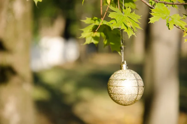 Taglie grigie di Natale — Foto Stock