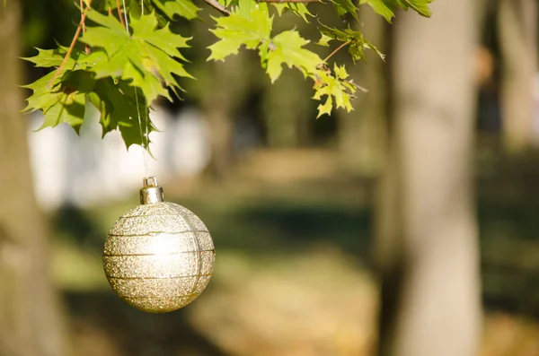 Taglie grigie di Natale — Foto Stock