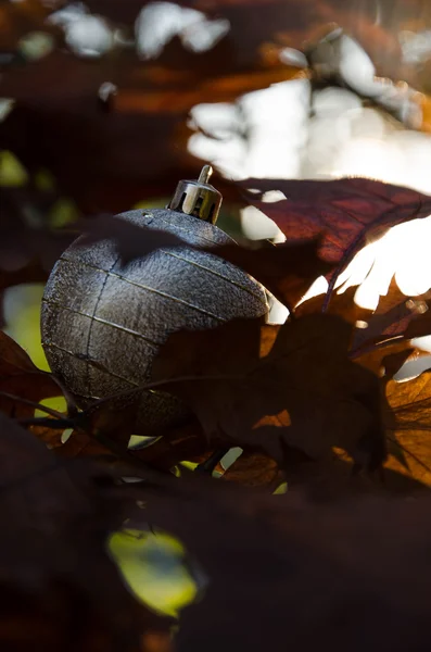 Gray autumn christmas — Stock Photo, Image