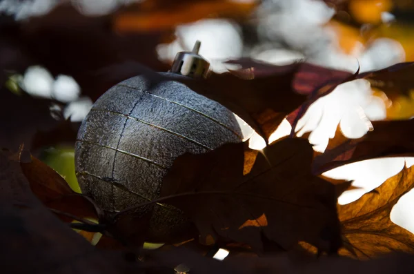 Gray autumn christmas — Stock Photo, Image