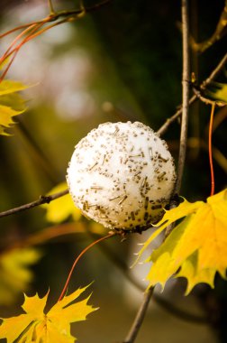 Yılbaşı yeni yıl gri