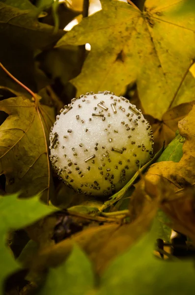 Yılbaşı yeni yıl gri