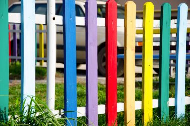 renk doğa arka planları