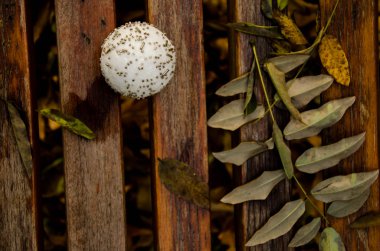 Noel hediye arka planlar