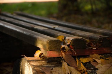 Sonbahar yaprakları düşer