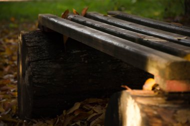 sonbahar sonbahar yaprakları