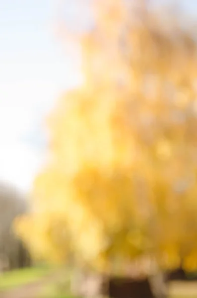 Fondos de luz de otoño — Foto de Stock