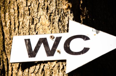 banyo tuvalet arka planlar