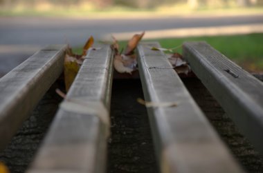 Sonbahar yaprakları düşer